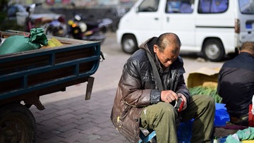 _DSC7155