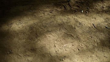 _DSC7427