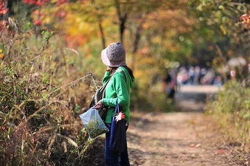 DSC_3096.JPG
