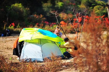 DSC_3032.JPG