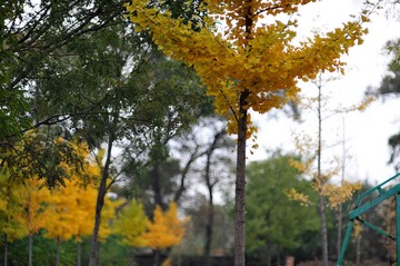 DSC_6971.JPG