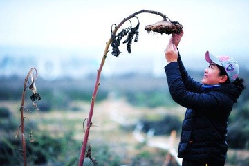dsc_8477_conew1_副本.jpg