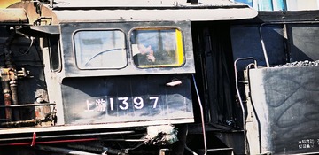 DSC_5732_HZP.jpg
