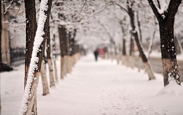 37d3d539b6003af31d54dd04342ac65c1138b6e3[1].jpg
