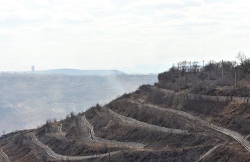 DSC_1574.JPG