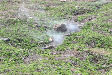 DSC_1594.JPG