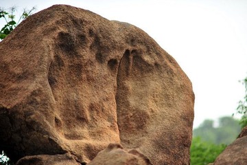 dsc_6989_副本_副本.jpg