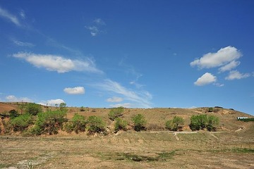 DSC_5126.JPG