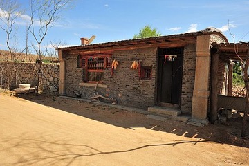 DSC_5170.JPG