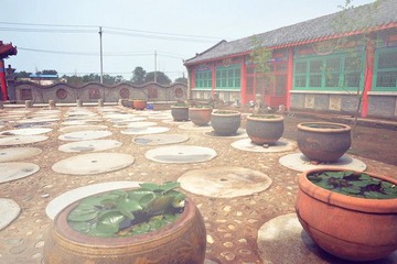 dsc_2422_副本.jpg