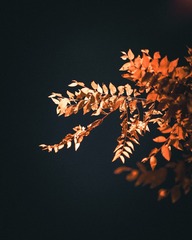 1413593