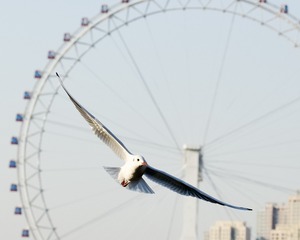 78603DDF-79D8-4CF0-9D65-2F9733A56184/L0/001