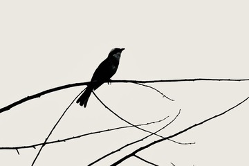 F31628B9-C371-42DE-887C-23AB699878F8/L0/001