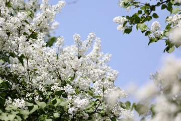 B4297502-F043-47AB-850F-437268A9F284/L0/001