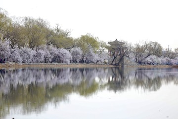 F8018E0D-A885-436F-9D27-176E7DE15336/L0/001