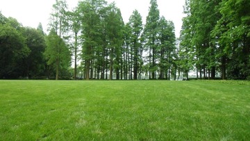 CIMG0378.JPG