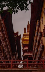 297F0CAA-7D14-40F2-A770-B81A788C0869/L0/001