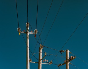 83910D96-1012-43F5-8C92-6F0679C2D113/L0/001