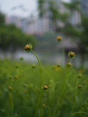 105027