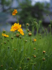 105051