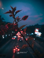 46048652-AC04-4DC0-96C7-C57D6EA9EFA4/L0/001