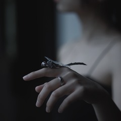 FD8C4BDF-E8CD-4635-AE14-AC53EF089729/L0/001
