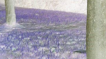 1000058129