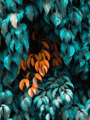 1000028297