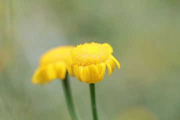 IMG_8072_副本.jpg