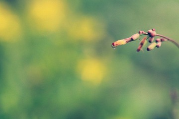 IMG_8115_副本.jpg