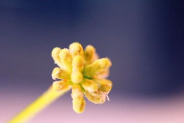 img_9224_副本.jpg