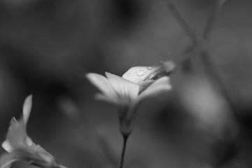 img_9248_副本.jpg