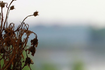 IMG_9456_副本.jpg