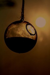 IMG_0803.JPG