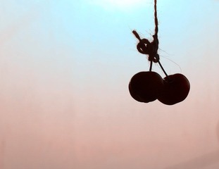 IMG_0851.JPG