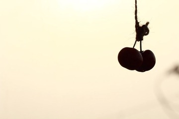 IMG_0852.JPG