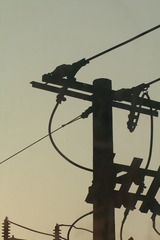 IMG_0860.JPG