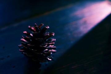 IMG_1166.JPG