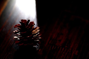 IMG_1165.JPG