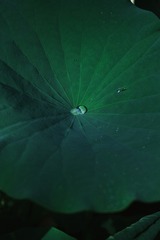 F7767764-B521-4C56-B156-335C1C14F2E4/L0/001