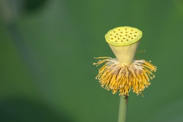 59215