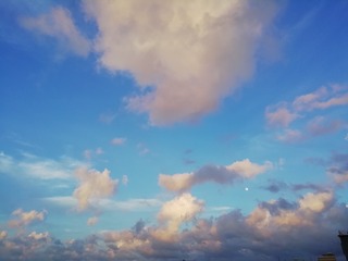 842