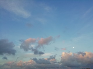 838