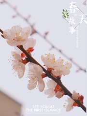 C29394D7-A104-498B-A8A5-5FBA8CD772F3/L0/001