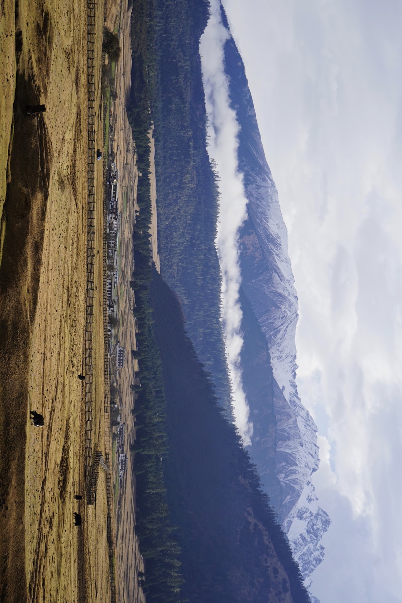 西藏鲁朗扎西岗村的高山牧场