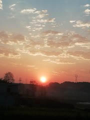 1308062