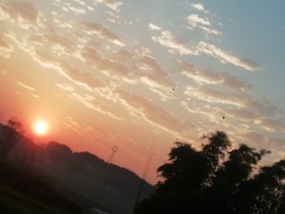 1308063