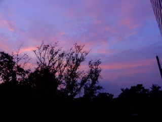 8BFFA392-7B9F-4CDC-99A6-2EB8D4061B57/L0/001