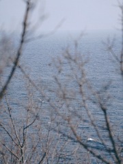 BA39FB0F-AC81-4266-914E-6F0A35EA400B/L0/001