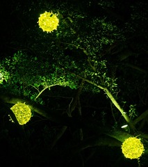 F35D82A1-0F5D-4F56-AEE4-BB9E46132ED2/L0/001